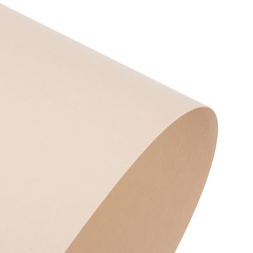 A1 Card Sandstone Brown Coloured 270GSM Recycled 1 Sheets