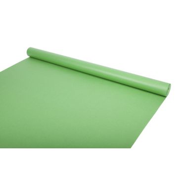 Leaf Green  Paper Roll 25M DuraFrieze 1 Roll