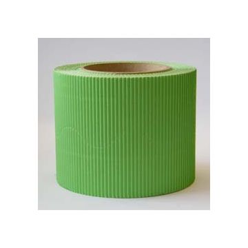 Pale Green Border Roll Corrugated Cardboard Bordette School  x1